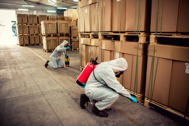 Pest Prevention Services in Middlebush, NJ
