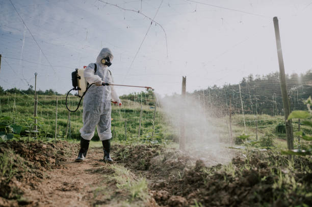 Best Local Pest Control Services  in Middlebush, NJ