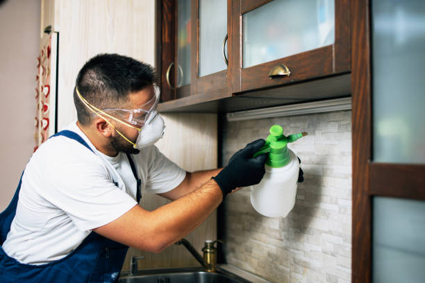 Best Local Pest Control Services  in Middlebush, NJ