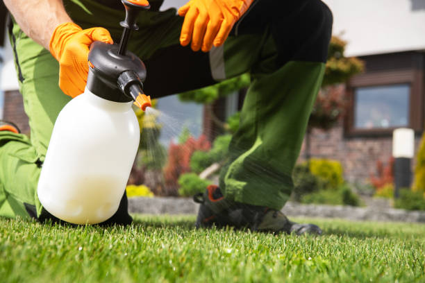 Best Emergency Pest Control  in Middlebush, NJ