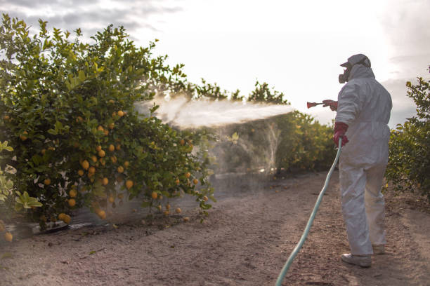 Best Pest Control Near Me  in Middlebush, NJ