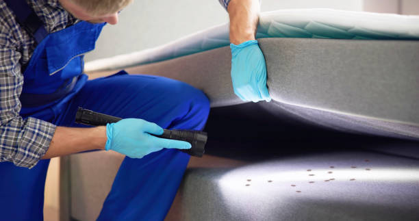 Best Pest Control for Homes  in Middlebush, NJ