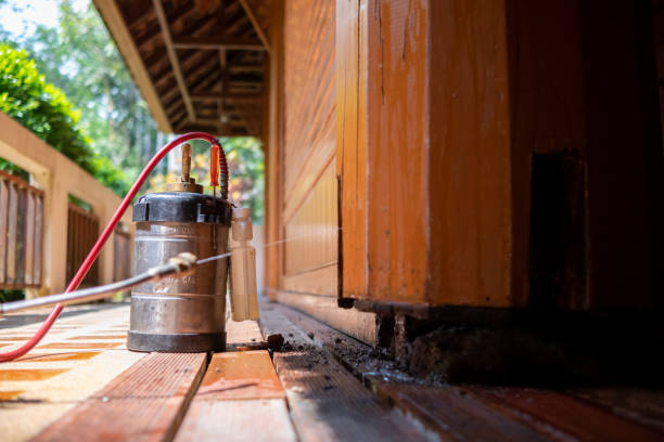 Best Cockroach Control Services  in Middlebush, NJ