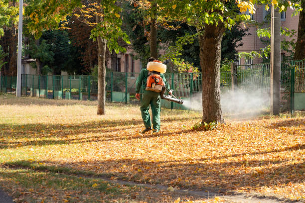 Best Residential Pest Control  in Middlebush, NJ