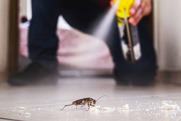 Best Exterminator Services  in Middlebush, NJ