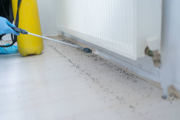 Best Residential Pest Control  in Middlebush, NJ
