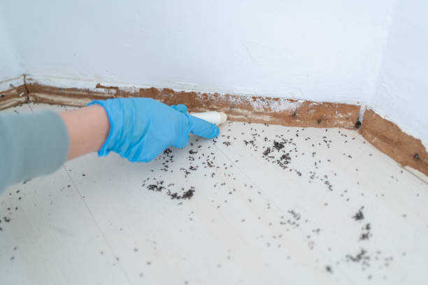 Best Wildlife Control Services  in Middlebush, NJ